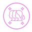Icon 4